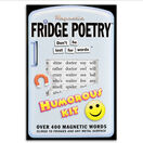Magnetic Poetry For Your Fridge, Whiteboards, Home and Office - Humorous additional 1