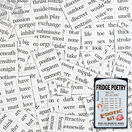 Magnetic Poetry - Erotic 18+ additional 4