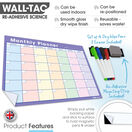 WallTAC Re-Adhesive Dry Wipe Monthly Wall Planner Calendar Organiser - Pastel additional 11