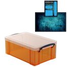 Tangerine Storage Box with Base Sheet & Sticker Labels (Transparent Orange Box with Clear Lid) additional 21