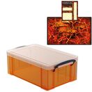 Tangerine Storage Box with Base Sheet & Sticker Labels (Transparent Orange Box with Clear Lid) additional 28
