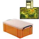 Tangerine Storage Box with Base Sheet & Sticker Labels (Transparent Orange Box with Clear Lid) additional 30