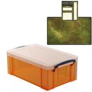 Tangerine Storage Box with Base Sheet & Sticker Labels (Transparent Orange Box with Clear Lid) additional 35