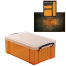 Tangerine Storage Box with Base Sheet & Sticker Labels (Transparent Orange Box with Clear Lid) additional 37