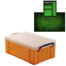 Tangerine Storage Box with Base Sheet & Sticker Labels (Transparent Orange Box with Clear Lid) additional 38