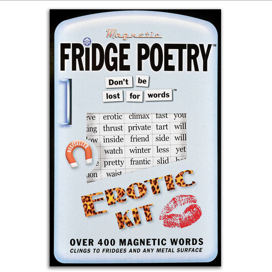 Magnetic Poetry EROTIC X Hot Love Game Toy Fun Fridge Magnets 200 Adults Words 